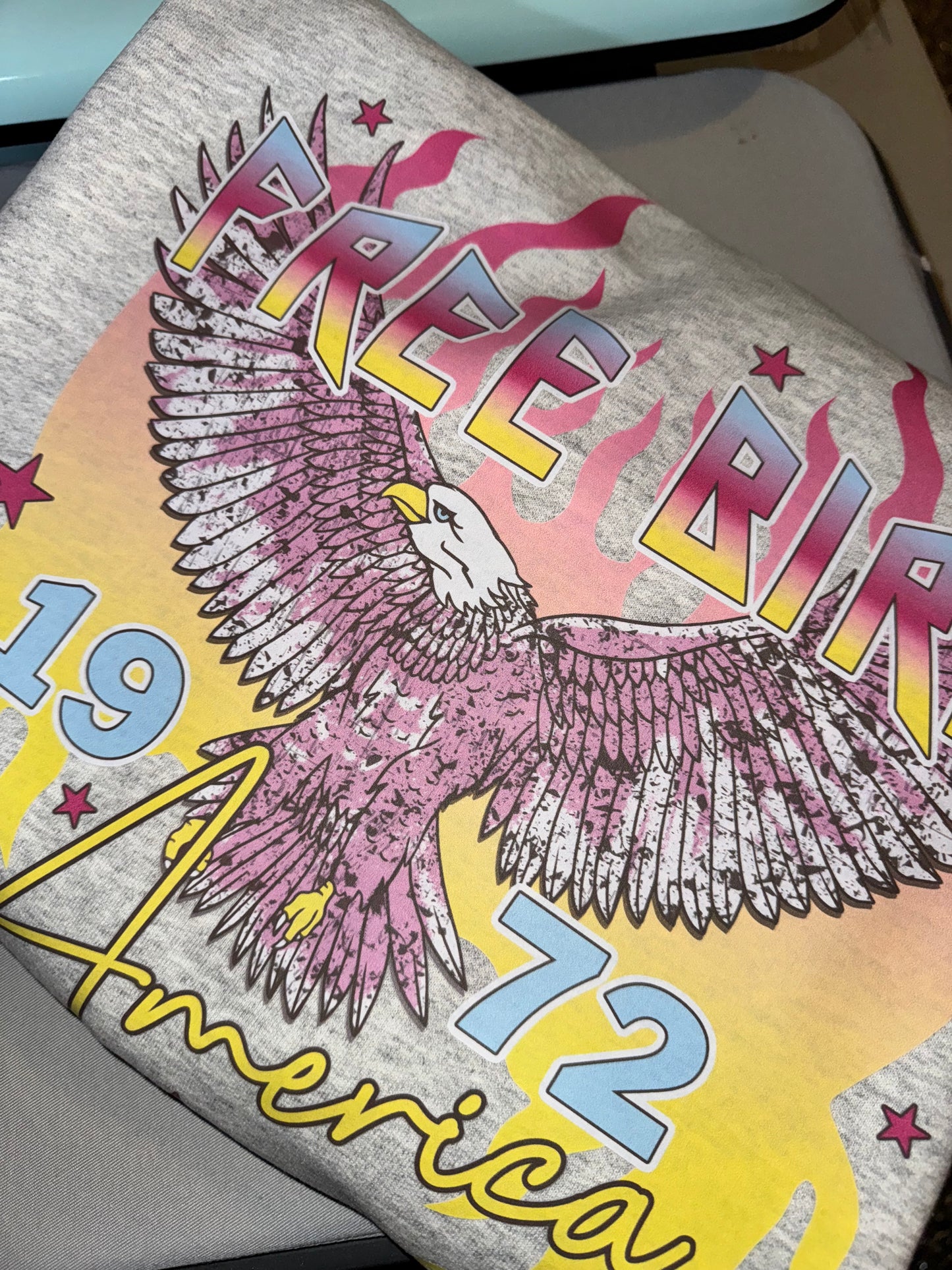 Free Bird 1972 America Crewneck